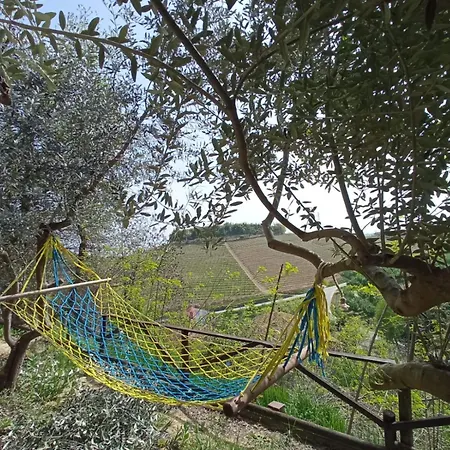 Podere Valle Pozzo Habitación en casa particular *