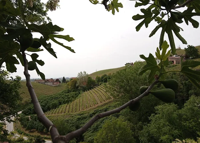 홈스테이 Podere Valle Pozzo 카날레